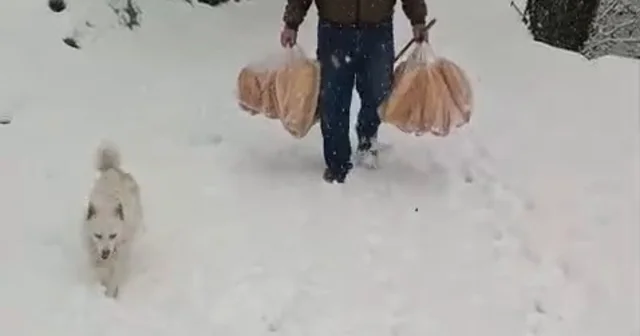 Yolu kar nedeniyle kapanan köyüne ekmek taşıdı Zonguldak Haberleri