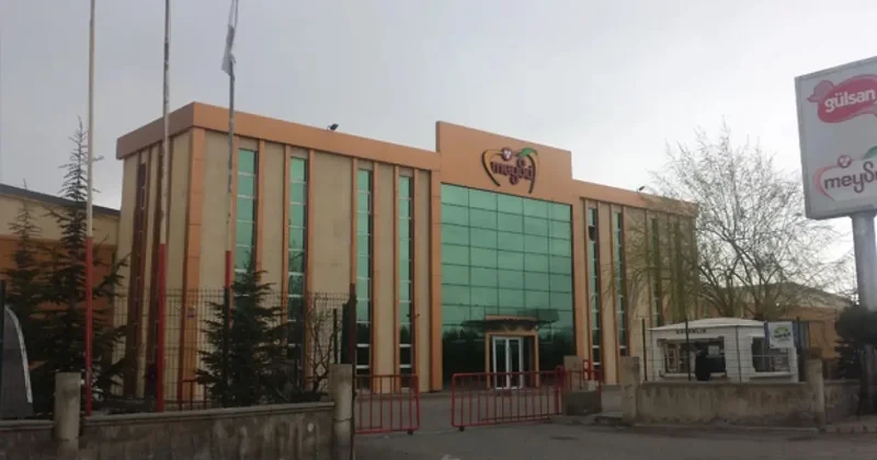 Meysu Gıda halka arz: Meysu Gıda lot miktarı, hisse fiyatı ne kadar?