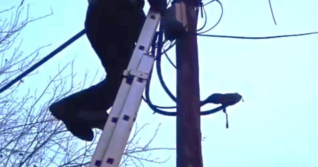 Direkte mahsur kalan kedi itfaiye tarafından indirildi Batman Haberleri