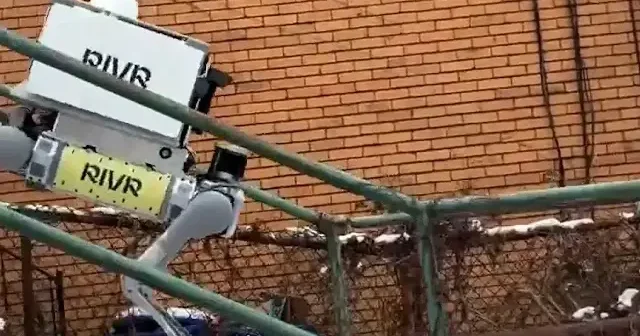 ABD’de teslimat robotunun buzlu havadaki performansı dikkat çekti VİDEO İZLE