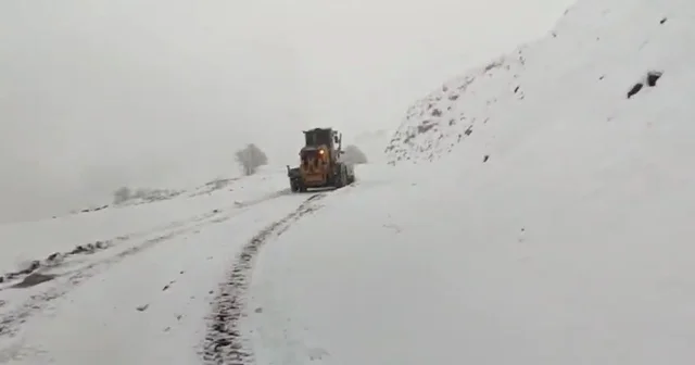 Siirt te 45 köy yolu, kardan ulaşıma kapandı Siirt Haberleri