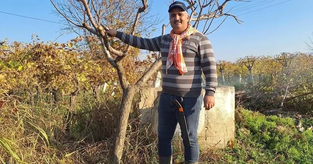 Çiftçinin mesaisi kışın da sürüyor Manisa Haberleri
