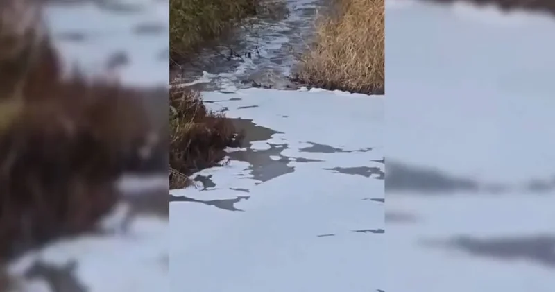 İzmir’deki incelemelerde sanayi kaynaklı kirlilik belirlendi