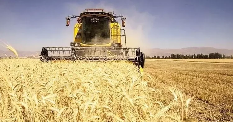 Kuraklık en çok meyveyi vurdu