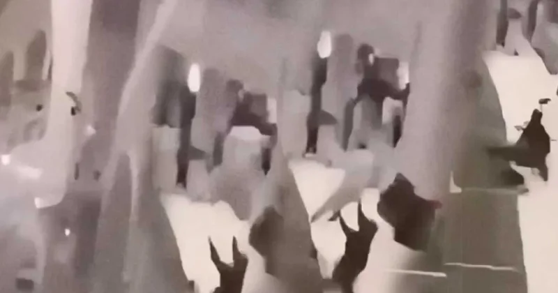 Mescid i Haram da intihar girişimi: Güvenlik görevlisi kendini siper etti Sözcü Gazetesi