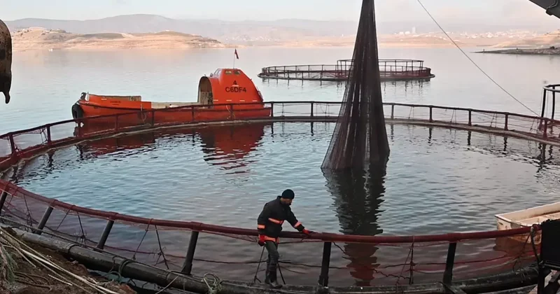 Yozgat ta Barajdan Somon İhracı