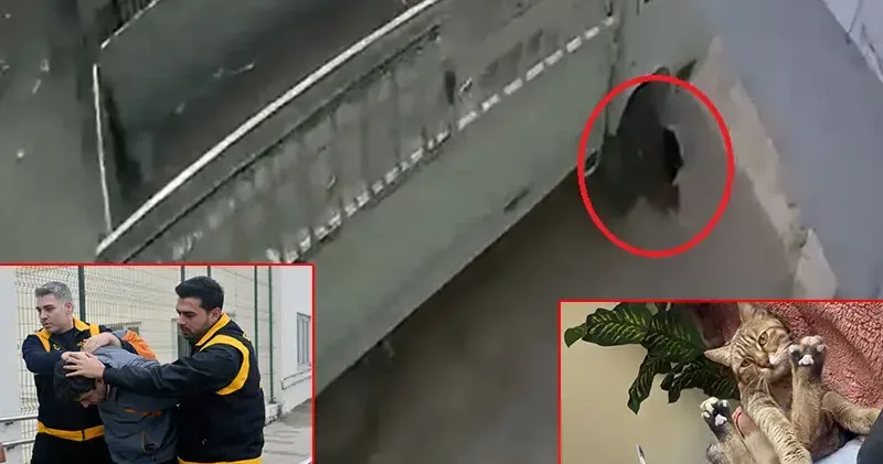 Kamyonetiyle kediyi ezen sürücüye 1 ay hayvan barınağında çalışma cezası