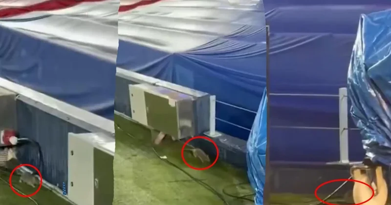 Barcelona nın stadyum çilesi bitmiyor! Şimdi de fareler bastı Sözcü Gazetesi