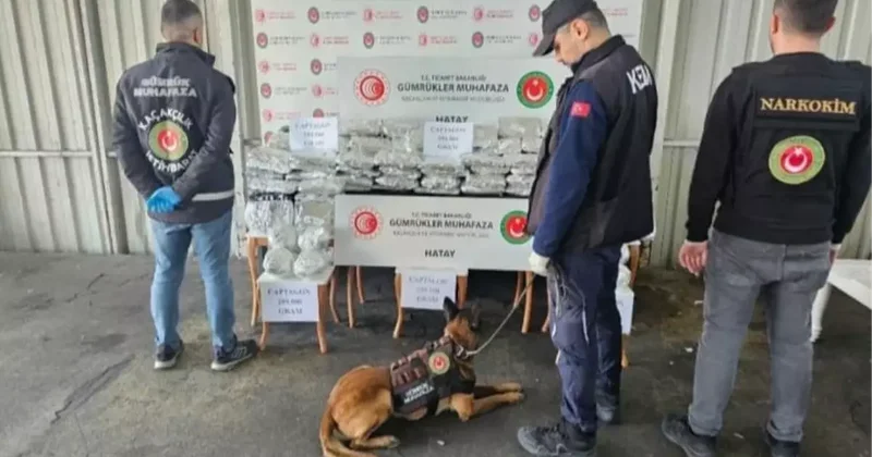 İskenderun Limanı nda dev uyuşturucu operasyonu, piyasa değeri tam 560 milyon TL