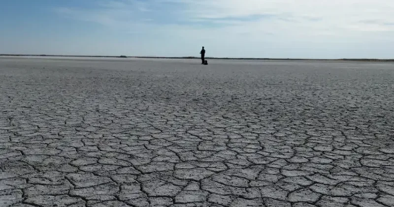 Kuraklık: Türkiye bir gıda krizine mi sürükleniyor?