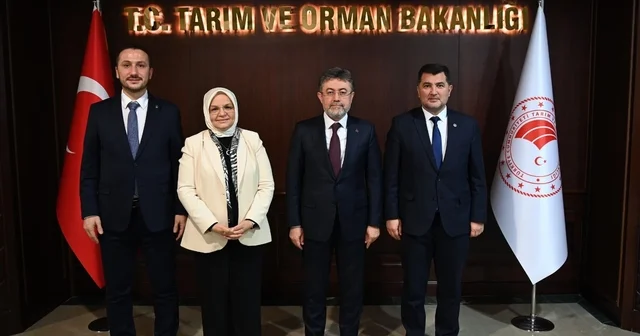 Düzce nin tarımı, taşkın riski ve DSİ yatırımları görüşüldü Düzce Haberleri