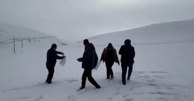 Darende de öğretmen ve öğrencilerden yaban hayvanlarını unutmadı Malatya Haberleri