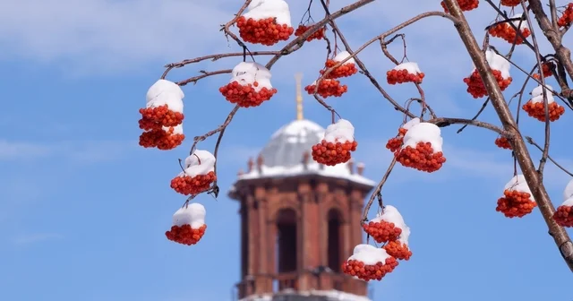 Buzlanma, don ve çığa dikkat Erzurum Haberleri