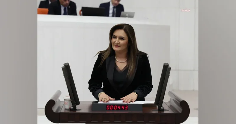 CHP li Sevda Erdan Kılıç: Savaşı meşrulaştıranlar suç ortağıdır