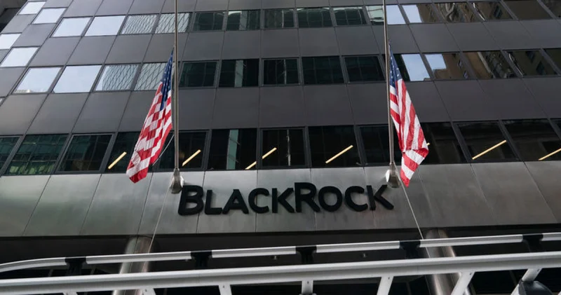 Blackrock Türk hisselerinde pozisyon alıyor İş Yaşam Haberleri