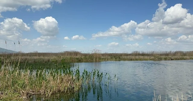 Yağışlar Eber Gölü ne can suyu oldu, kiraz üreticisinin yüzü güldü Afyonkarahisar Haberleri