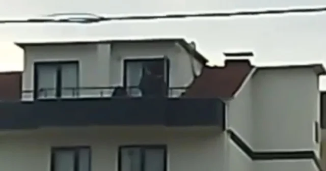 Kocaeli de FETÖ operasyonu: Saklandığı çatıda yakalandı Kocaeli Haberleri