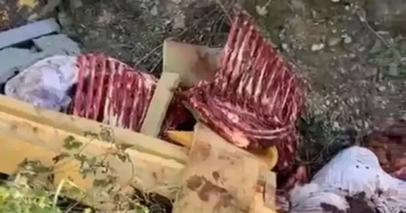 At kestikleri öne sürülen 2 şüpheli, operasyonla yakalandı