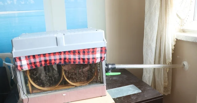 15 inci kattaki evinin oturma odasına arı kovanı sistemi kurdu Kayseri Haberleri