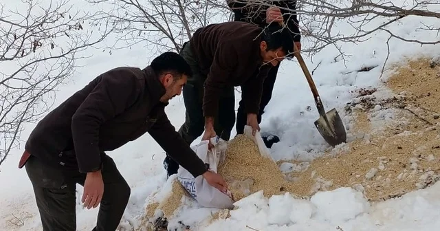 Kemah ta yaban hayatı unutulmadı Erzincan Haberleri