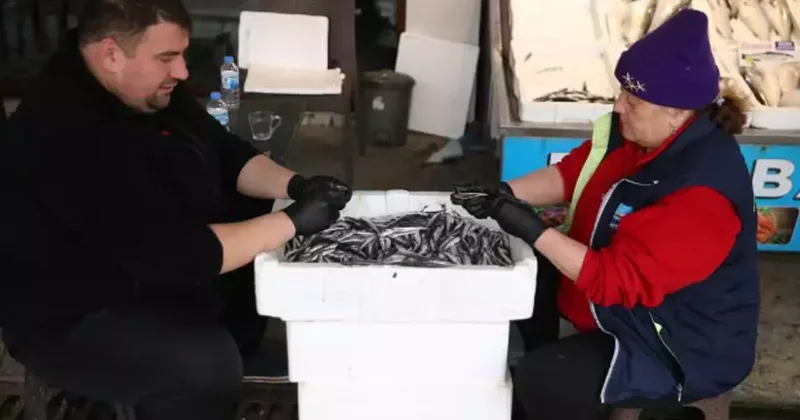 Hamsi tutkunları dikkat! Yaz ortasında da yiyebileceksiniz