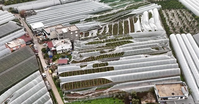 Finike de hortumdan zarar gören seralarda hasar tespiti başladı Antalya Haberleri