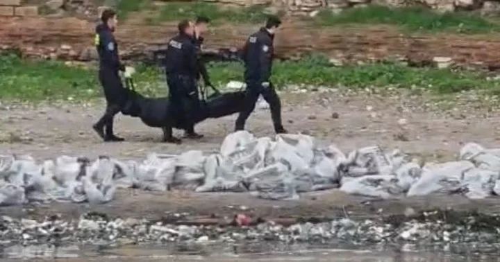 İki gün önce yakınları kayıp ihbarı vermişti! Samatya Sahili nde cansız bedeni bulundu