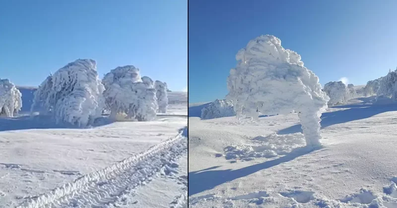 Görüntüler İstanbul un yanı başından