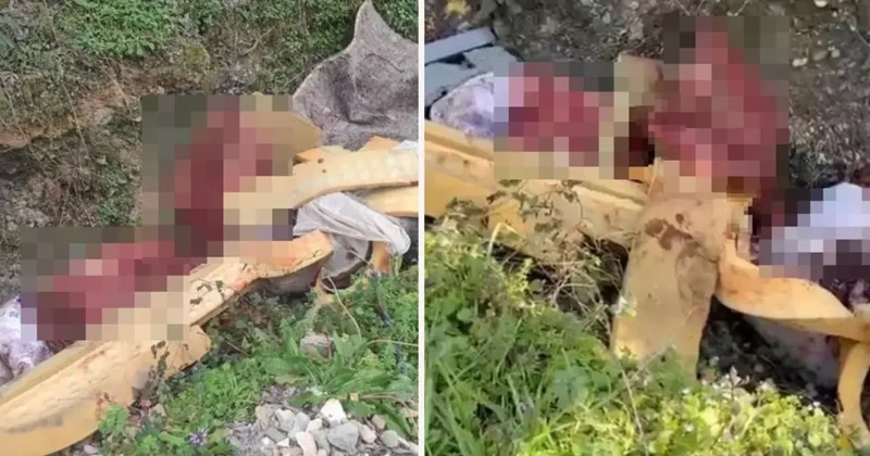 Hayvan Kemikleriyle Yakalanan Şüpheliler Gözaltında