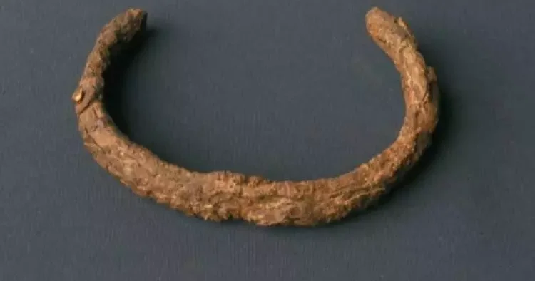 Toprağın altından değil gökyüzünden gelmiş: Altından bile daha değerli çıktı