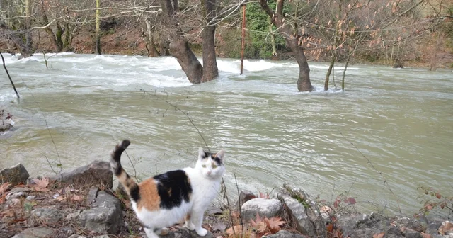 Toroslar da yağış bereketi kuruyan Üzümdere Irmağını yeniden canlandırdı, şelaleler coştu Antalya Haberleri