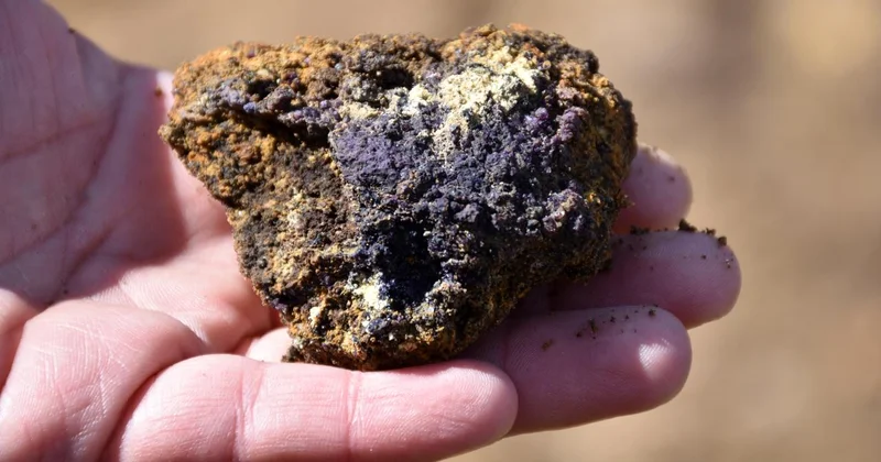 Yüksek teknolojinin “nadir” ihtiyaçları