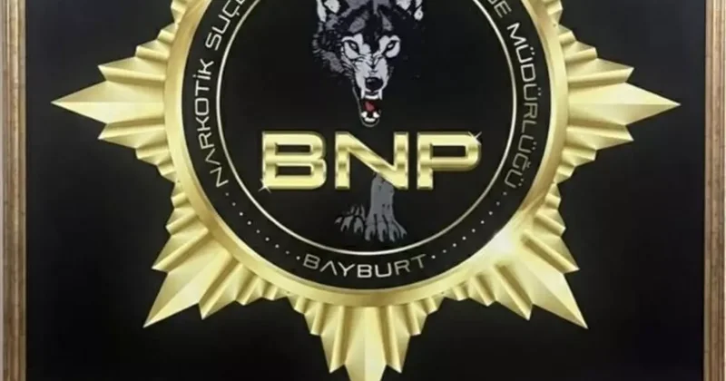 Bayburt’ta 2 kilo 369 gram skunk ile yakalanan şüpheli tutuklandı