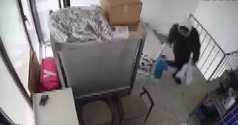 Kadıköy’de iş yerinden laptop hırsızlığı kamerada