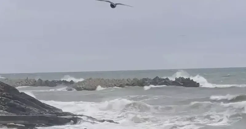 Düzce nin Karadeniz kıyısında kuvvetli rüzgar etkili oldu