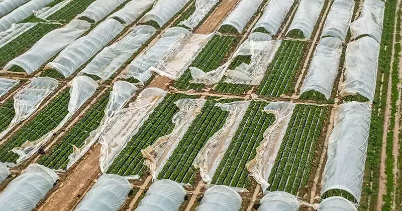 Antalya da fırtına, hortum ve sel felaketinin faturası 3 milyar TL