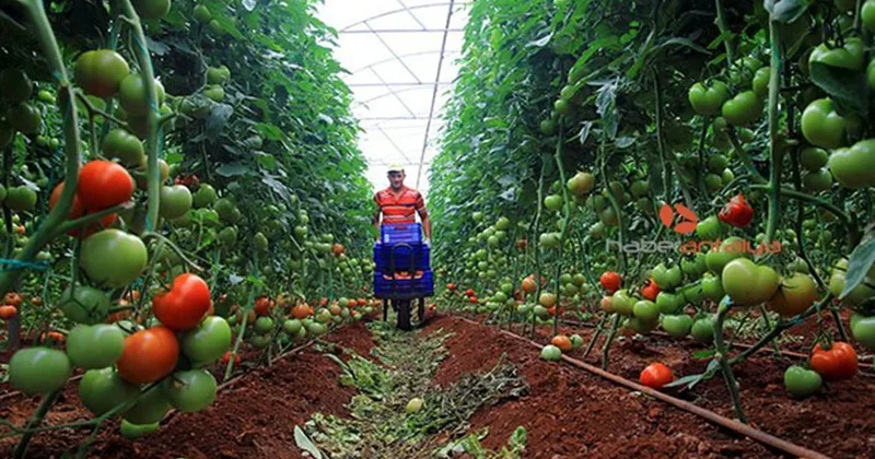 Köprüden önce son satış Sözcü Gazetesi
