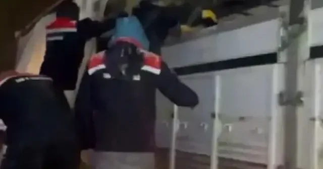 Erzurum da tır yolda kaldı: İçindeki hayvanlar otla beslendi VİDEO İZLE