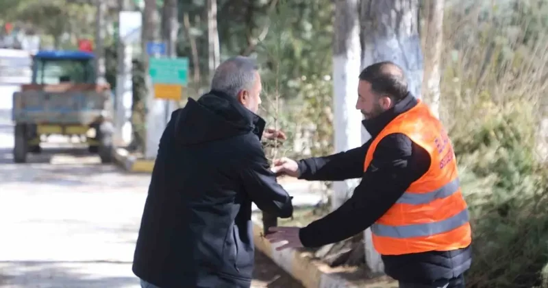 Elazığ Belediyesi’nden vatandaşlara ücretsiz fidan desteği