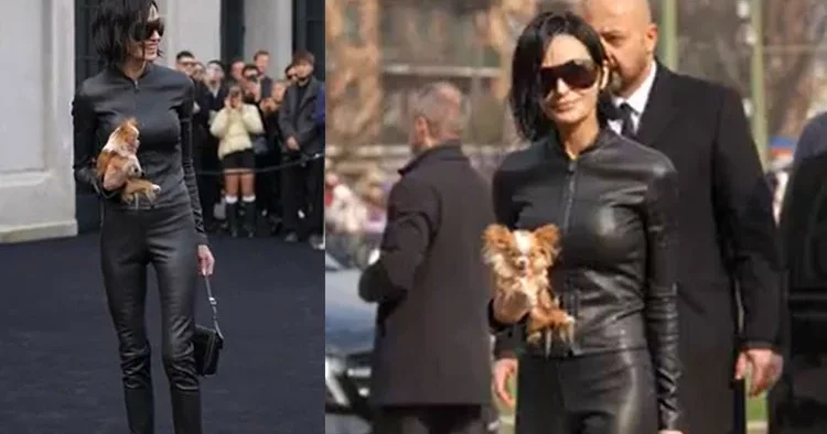 Kucağında köpeği olmaya kimse tanımayacaktı: Çabuk söyle, kimsin sen!