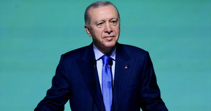 Cumhurbaşkanı Erdoğan: Türkiye olarak üzerimize ne düşüyorsa yapıyoruz