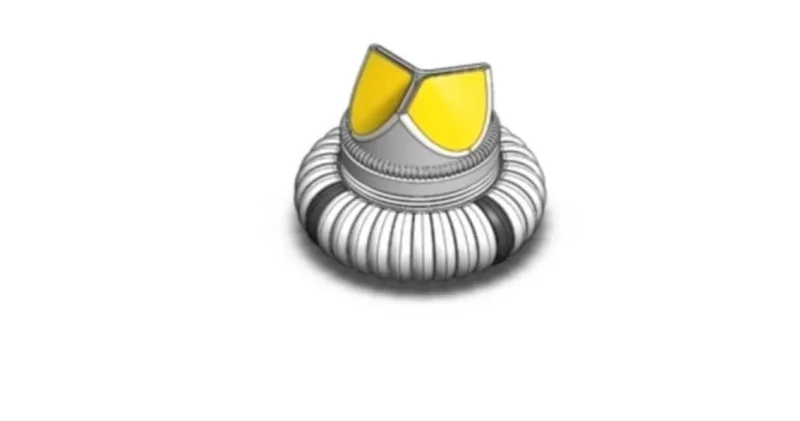 Mersin Üniversitesi nde geliştirilen kalp kapağının patenti alındı Sağlık Haberleri