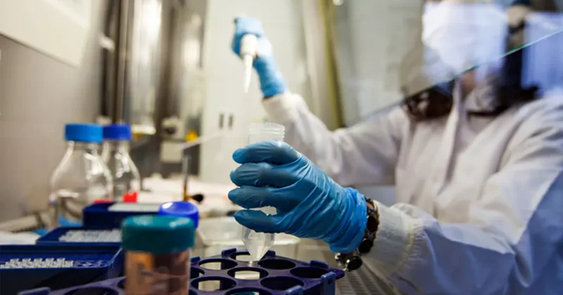 Kansere karşı yeşil kalkan! Oxford’un son araştırması ezber bozdu