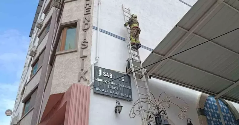 İskenderun’da ipe dolanan kuş kurtarıldı