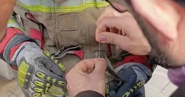 İskenderun da kanatları ipe dolanan kuşu itfaiye kurtardı Hatay Haberleri