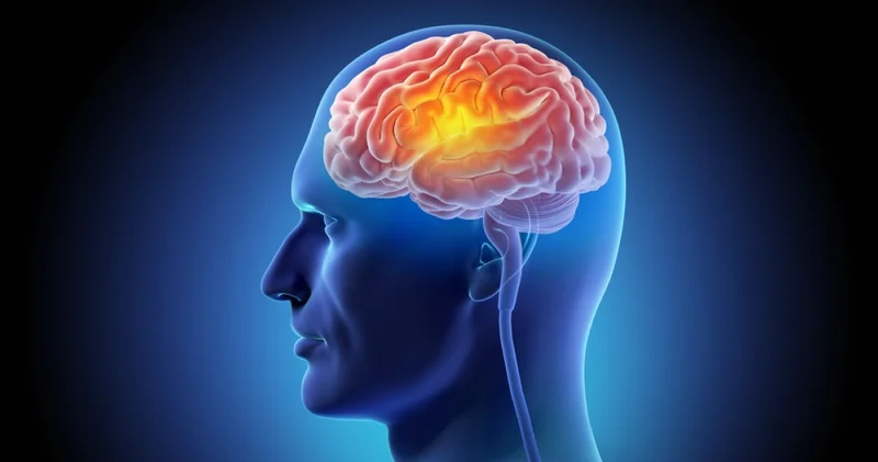 Yeni araştırma: MIND diyeti beyin yaşlanmasını yavaşlatıyor Haberler Sağlık Haberleri