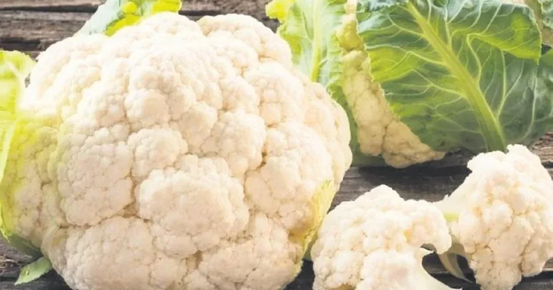 İDİL AÇIKALIN Karnabahar bitmeden