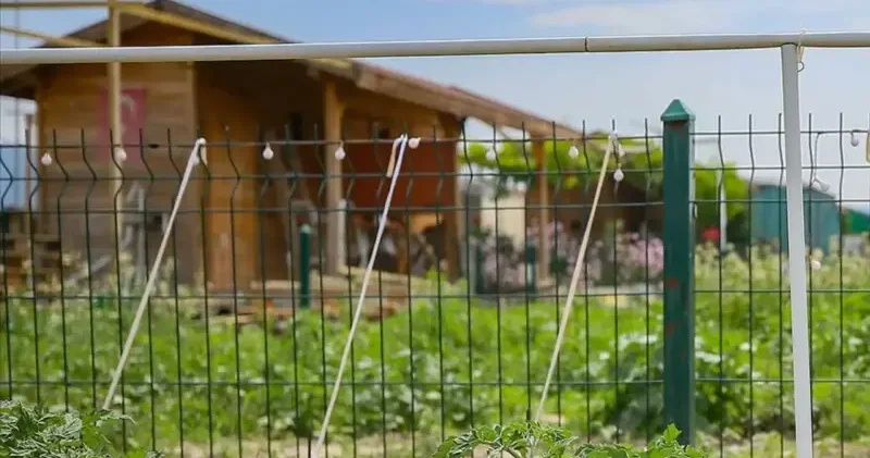 Hobikonduya 4 milyar lira ceza: Hobi bahçelerinde 11 bin izinsiz yapılaşma Gündem Haberleri