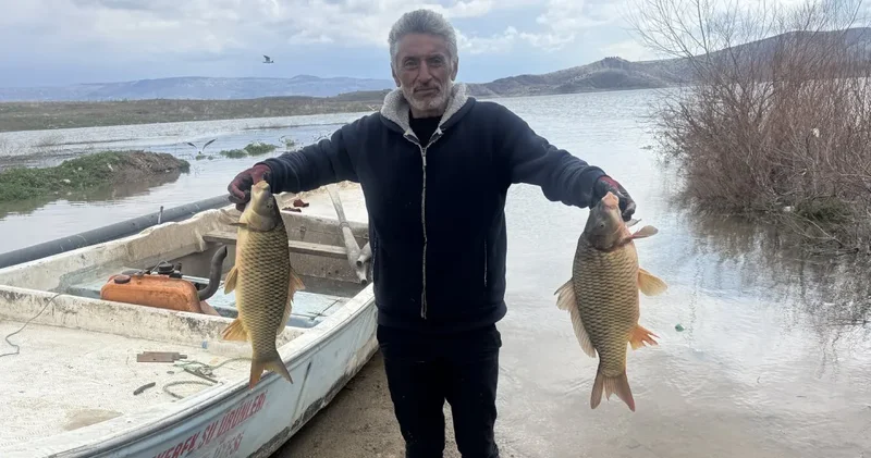 Geçen yıl balıklar tek tek ölüyordu: Bu yıl doluluk iki kat arttı, ihracat başladı