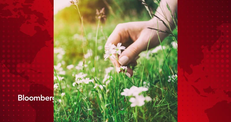 İyimser olmanın 8 yolu